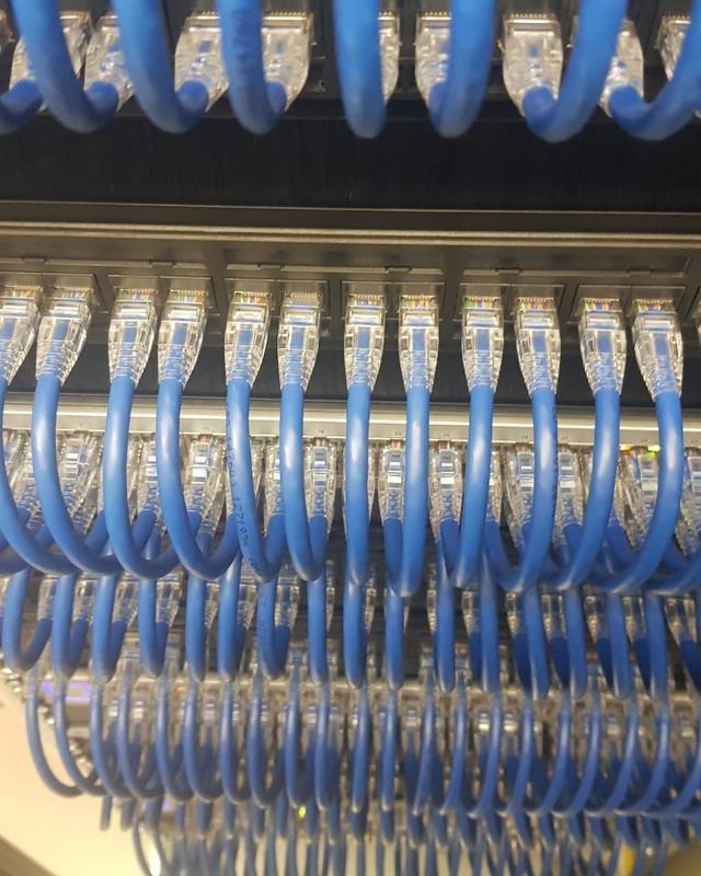 Rows of short blue patch leads looping neatly between a patch panel and a switch