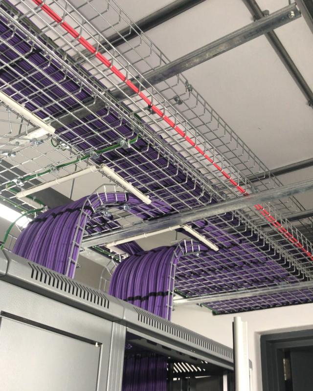 Bundles of purple network cable laid neatly in a ceiling cable tray, running into a server cabinet